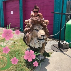 Meet your Posher, Daphne